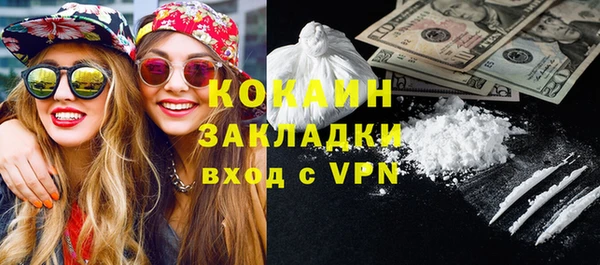 меф Ельня