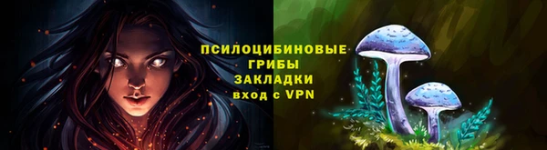 ALPHA-PVP Дмитриев