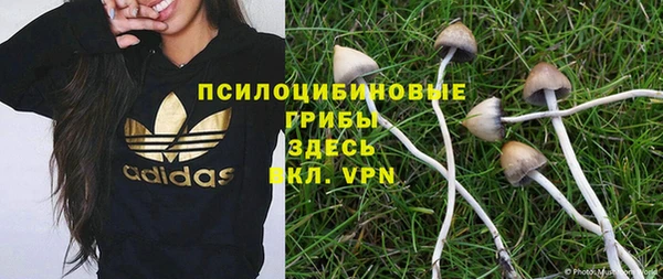 МДМА Гусиноозёрск