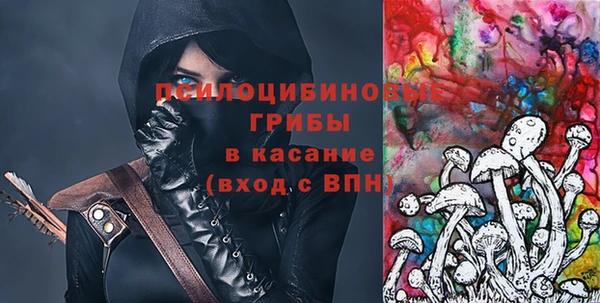 меф Ельня