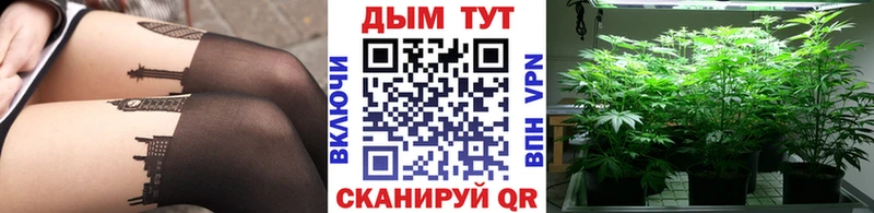 Конопля марихуана  MEGA маркетплейс  Пятигорск 